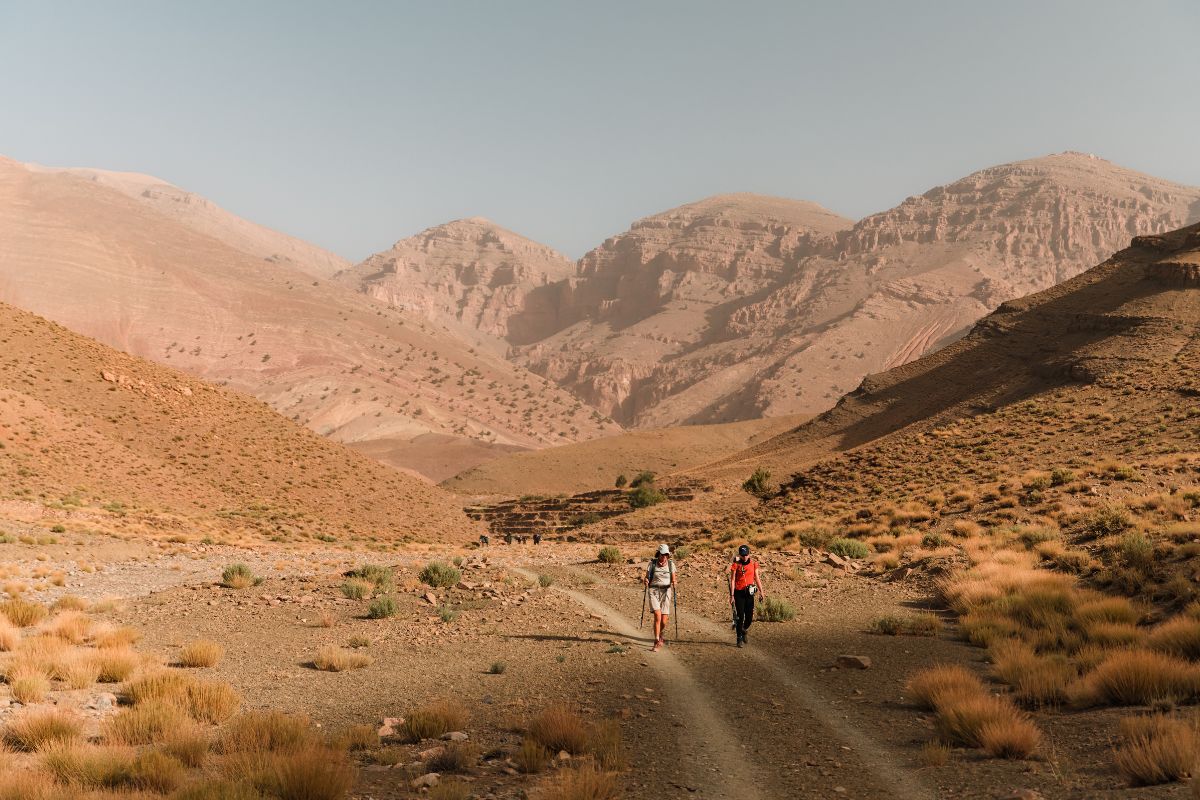 Paysage de montagne l'été