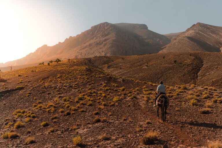 Un local sur une mule dans l'atlas au couché du soleil pendant l'atlas trail au Maroc