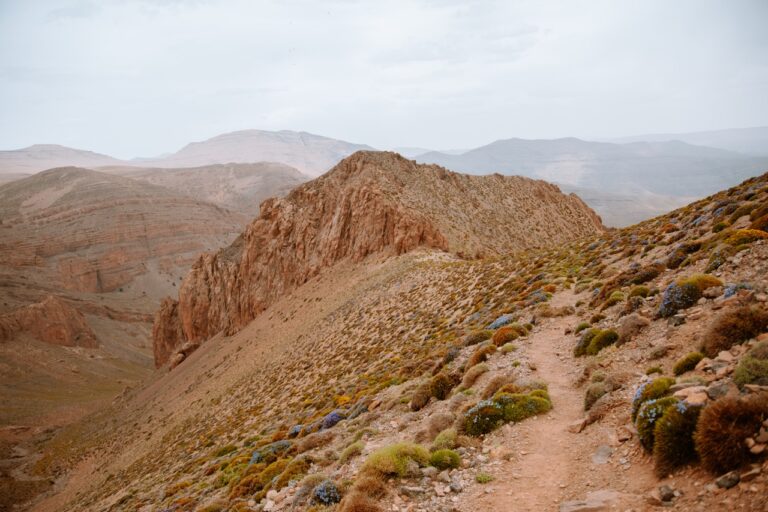 vue sur les montagnes de l'atlas au maroc